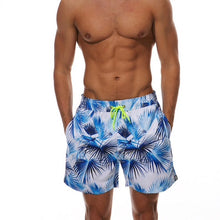 Load image into Gallery viewer, ALPHA: Tropics